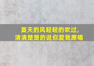 夏天的风轻轻的吹过,清清楚楚的说你爱我原唱