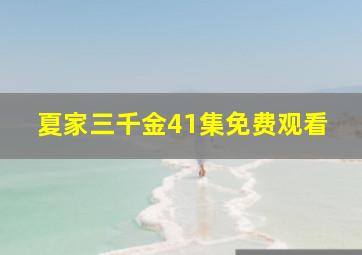 夏家三千金41集免费观看