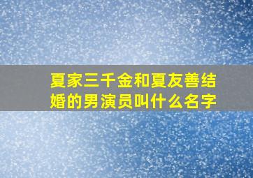 夏家三千金和夏友善结婚的男演员叫什么名字