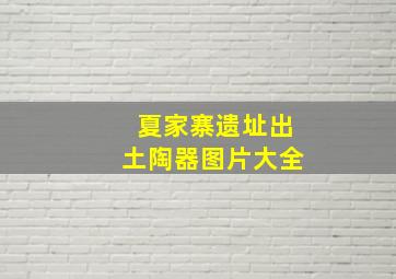 夏家寨遗址出土陶器图片大全