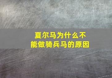 夏尔马为什么不能做骑兵马的原因