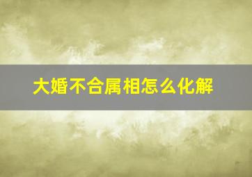 大婚不合属相怎么化解