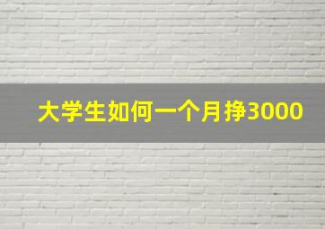 大学生如何一个月挣3000