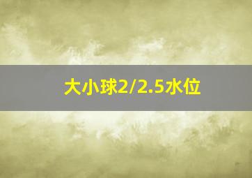 大小球2/2.5水位