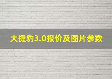 大捷豹3.0报价及图片参数