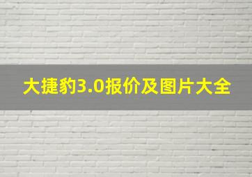 大捷豹3.0报价及图片大全