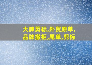 大牌剪标,外贸原单,品牌撤柜,尾单,剪标