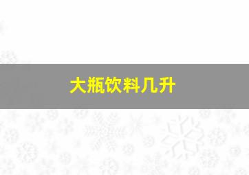 大瓶饮料几升