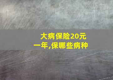 大病保险20元一年,保哪些病种