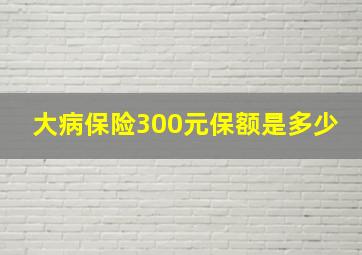 大病保险300元保额是多少