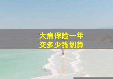 大病保险一年交多少钱划算