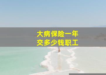 大病保险一年交多少钱职工