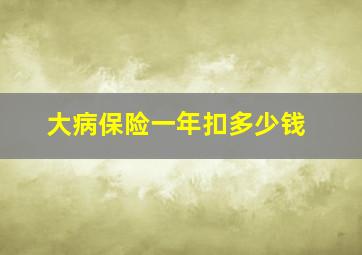 大病保险一年扣多少钱