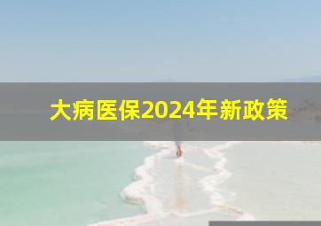 大病医保2024年新政策