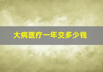 大病医疗一年交多少钱