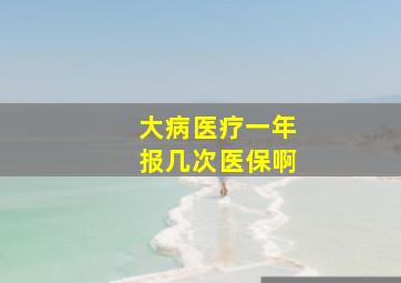 大病医疗一年报几次医保啊