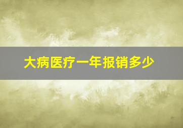 大病医疗一年报销多少