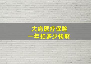 大病医疗保险一年扣多少钱啊