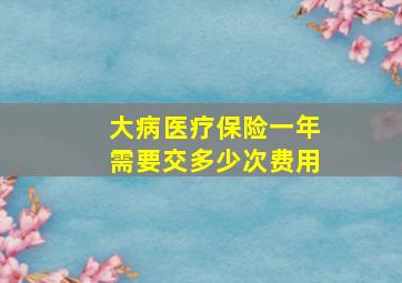 大病医疗保险一年需要交多少次费用