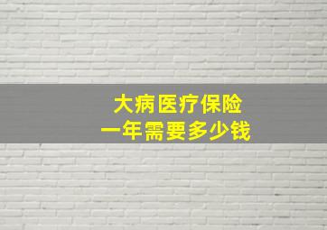 大病医疗保险一年需要多少钱