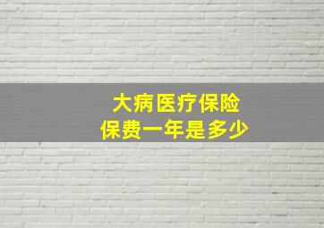 大病医疗保险保费一年是多少