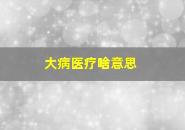 大病医疗啥意思