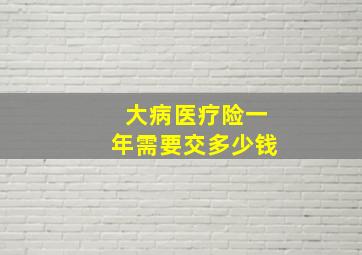 大病医疗险一年需要交多少钱