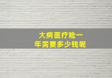 大病医疗险一年需要多少钱呢