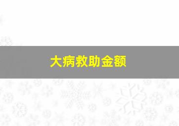 大病救助金额