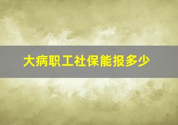 大病职工社保能报多少