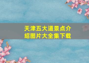 天津五大道景点介绍图片大全集下载