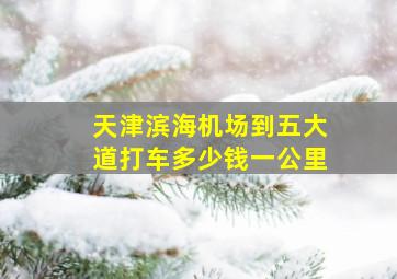 天津滨海机场到五大道打车多少钱一公里