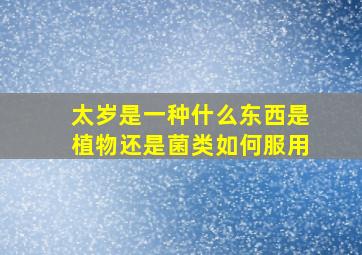 太岁是一种什么东西是植物还是菌类如何服用