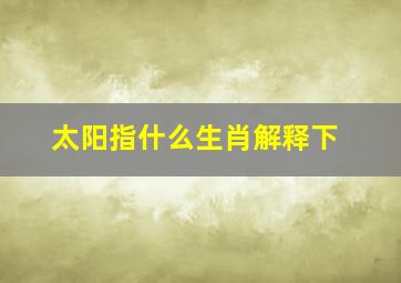 太阳指什么生肖解释下