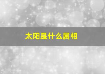 太阳是什么属相