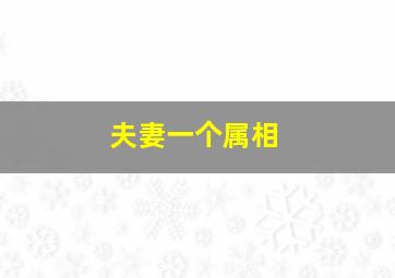 夫妻一个属相