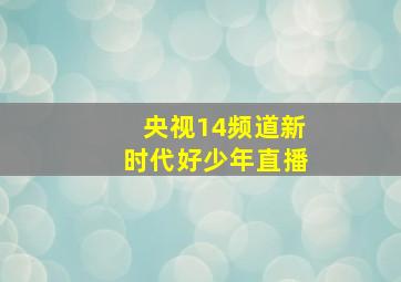 央视14频道新时代好少年直播