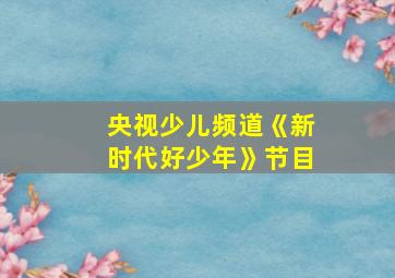 央视少儿频道《新时代好少年》节目