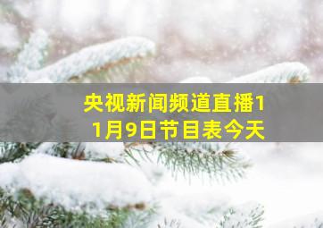 央视新闻频道直播11月9日节目表今天