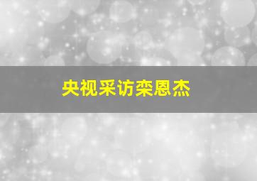 央视采访栾恩杰