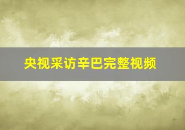 央视采访辛巴完整视频