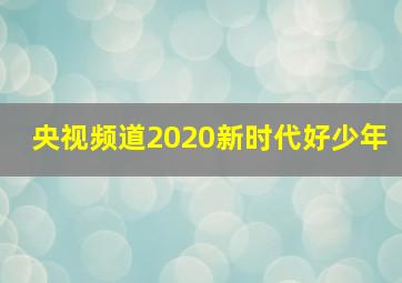 央视频道2020新时代好少年