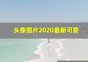 头像图片2020最新可爱