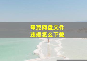 夸克网盘文件违规怎么下载