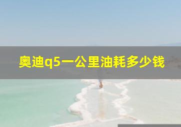 奥迪q5一公里油耗多少钱