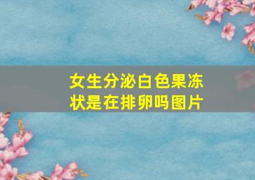 女生分泌白色果冻状是在排卵吗图片