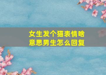 女生发个猫表情啥意思男生怎么回复