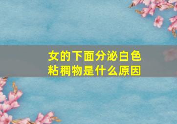 女的下面分泌白色粘稠物是什么原因