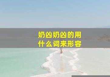 奶凶奶凶的用什么词来形容