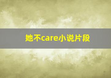 她不care小说片段